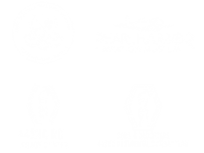 100th Website Logos